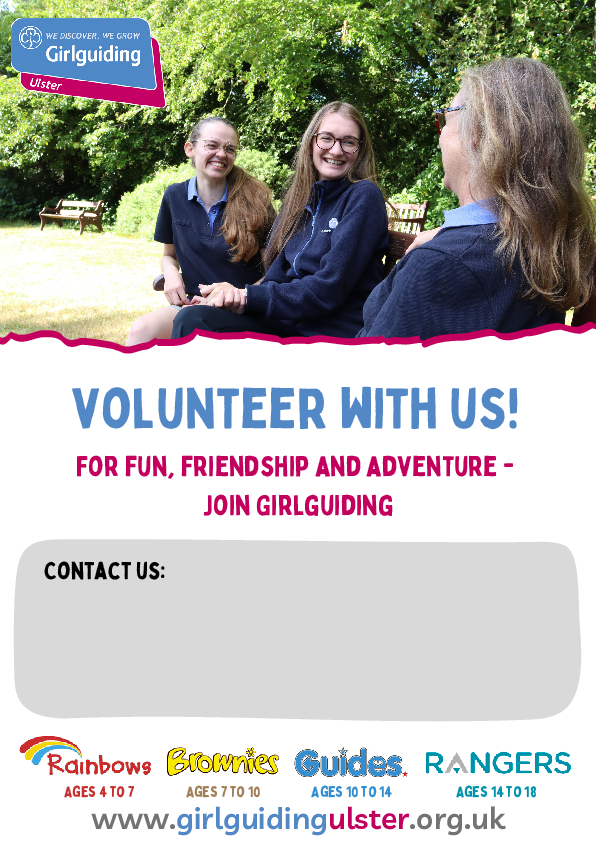 A4 Leader/Volunteers Campaign poster